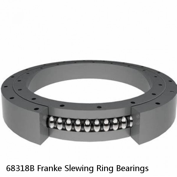 68318B Franke Slewing Ring Bearings