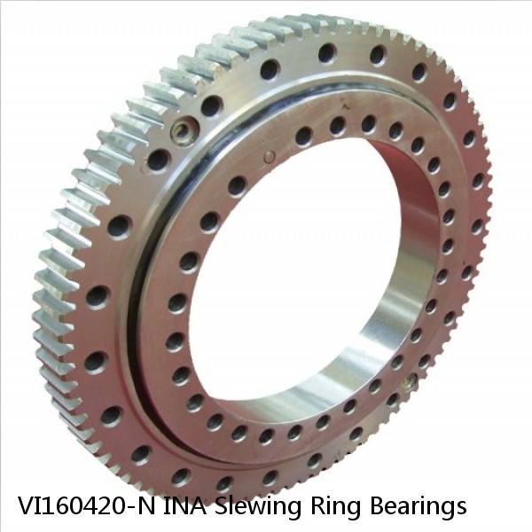 VI160420-N INA Slewing Ring Bearings