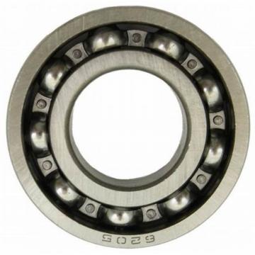 Deep Groove Ball Bearing 6300zz (SKF NACHI, Timken, NSK, NTN, KOYO, IKO 6000 6001 6002 6003 6004 6005 6006 6007 6200 6201 6202 6203 6204 6205 6301 6302 ZZ 2RS)