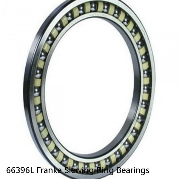 66396L Franke Slewing Ring Bearings