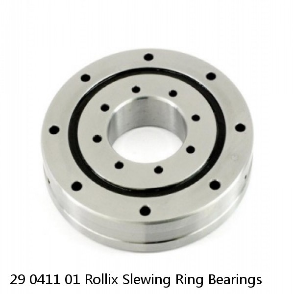 29 0411 01 Rollix Slewing Ring Bearings