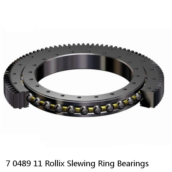 7 0489 11 Rollix Slewing Ring Bearings