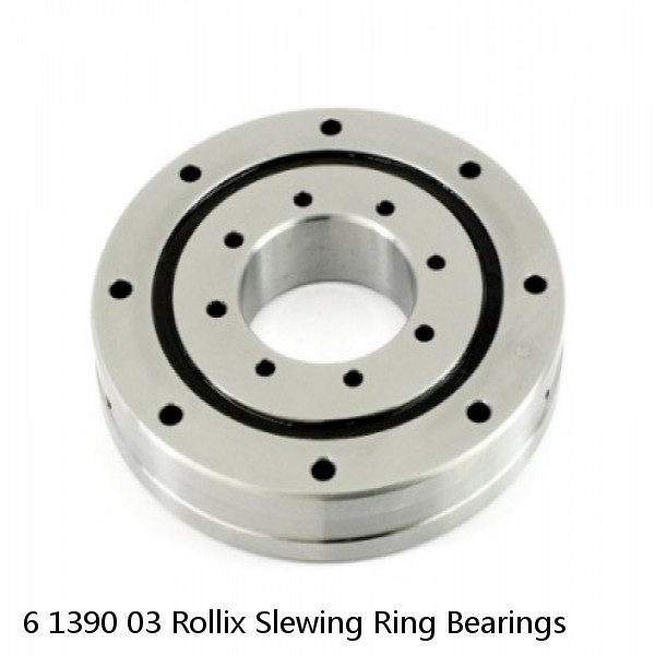 6 1390 03 Rollix Slewing Ring Bearings