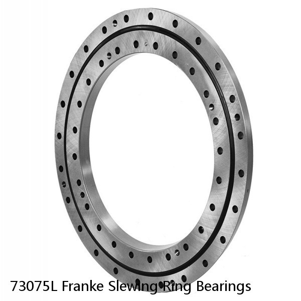 73075L Franke Slewing Ring Bearings