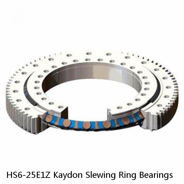 HS6-25E1Z Kaydon Slewing Ring Bearings