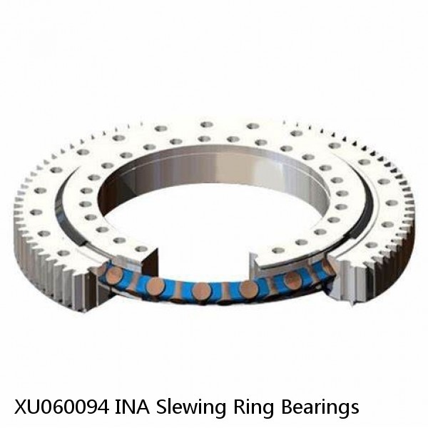 XU060094 INA Slewing Ring Bearings