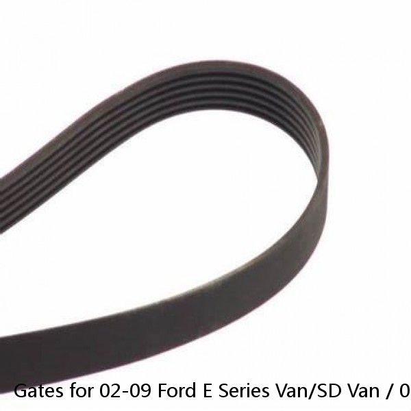 Gates for 02-09 Ford E Series Van/SD Van / 02-10 E450/F450/F550 SD Fleetrunner