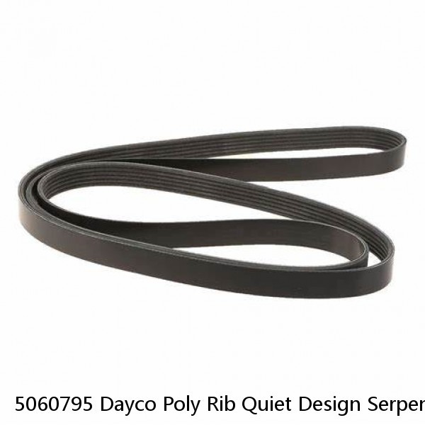 5060795 Dayco Poly Rib Quiet Design Serpentine Belt Made In USA 6PK2020