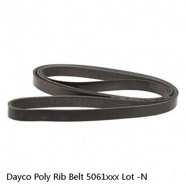 Dayco Poly Rib Belt 5061xxx Lot -N