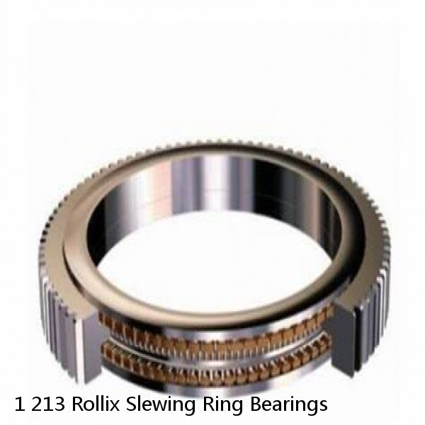 1 213 Rollix Slewing Ring Bearings