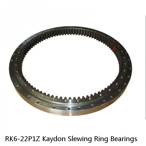 RK6-22P1Z Kaydon Slewing Ring Bearings #1 small image