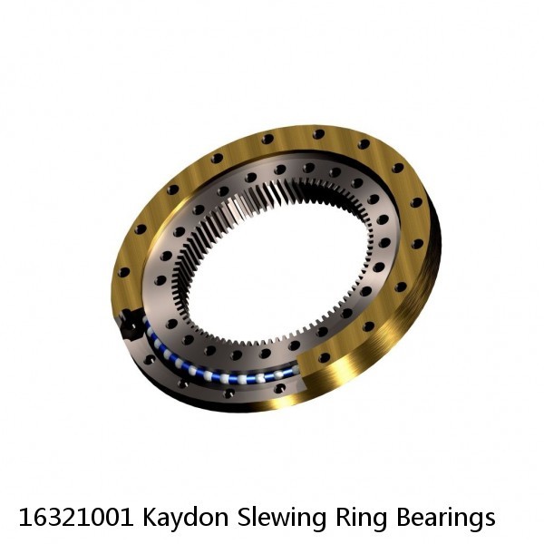 16321001 Kaydon Slewing Ring Bearings #1 small image