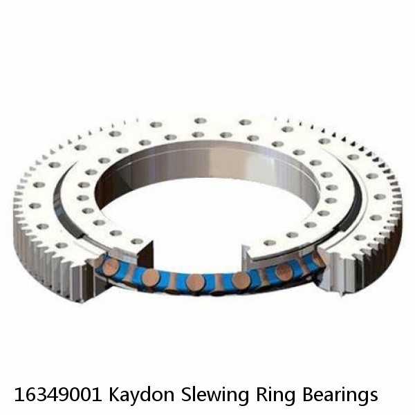 16349001 Kaydon Slewing Ring Bearings #1 small image