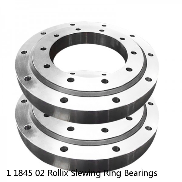 1 1845 02 Rollix Slewing Ring Bearings #1 small image