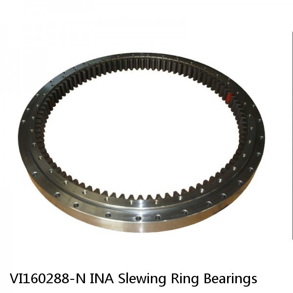 VI160288-N INA Slewing Ring Bearings #1 small image