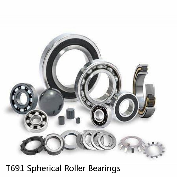 T691 Spherical Roller Bearings #1 small image