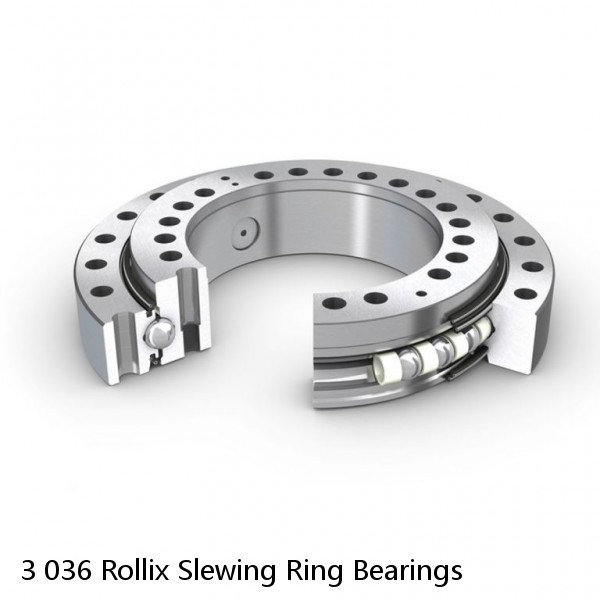 3 036 Rollix Slewing Ring Bearings #1 small image