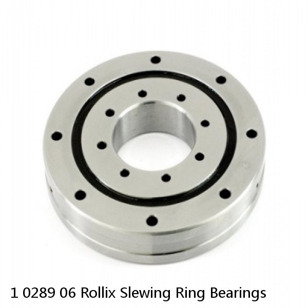 1 0289 06 Rollix Slewing Ring Bearings