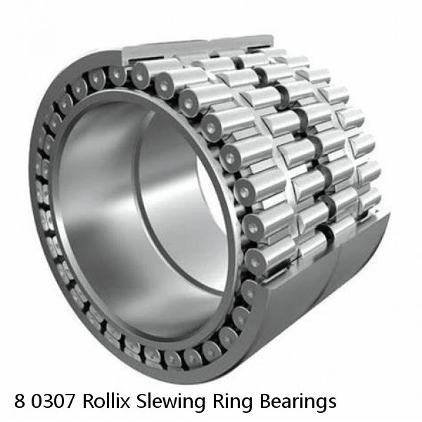 8 0307 Rollix Slewing Ring Bearings #1 small image