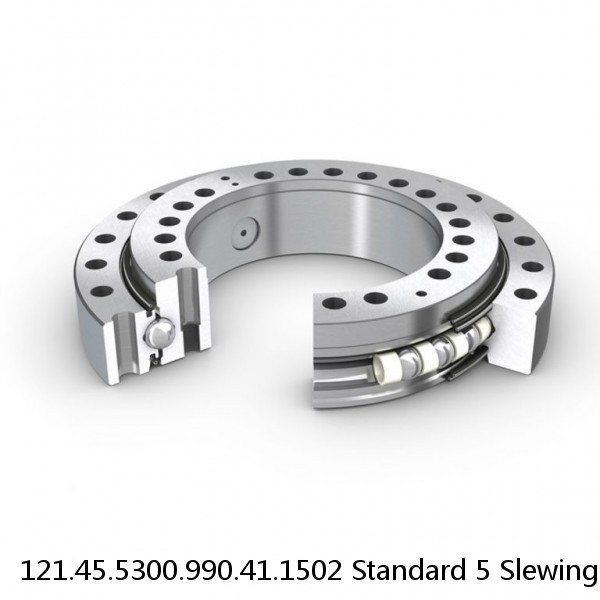 121.45.5300.990.41.1502 Standard 5 Slewing Ring Bearings #1 small image