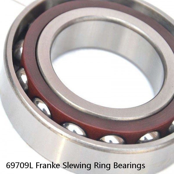 69709L Franke Slewing Ring Bearings #1 small image