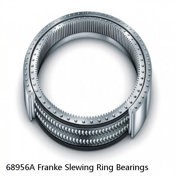 68956A Franke Slewing Ring Bearings