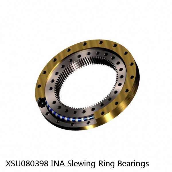 XSU080398 INA Slewing Ring Bearings #1 small image