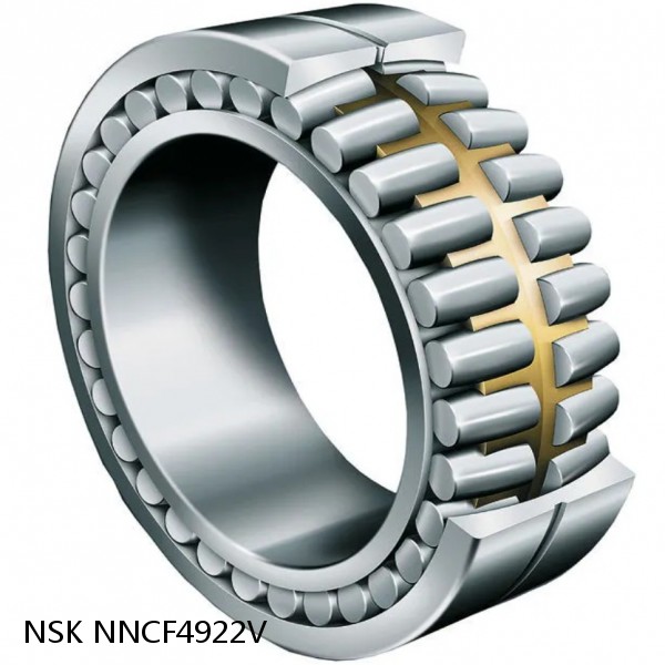 NNCF4922V NSK CYLINDRICAL ROLLER BEARING #1 small image