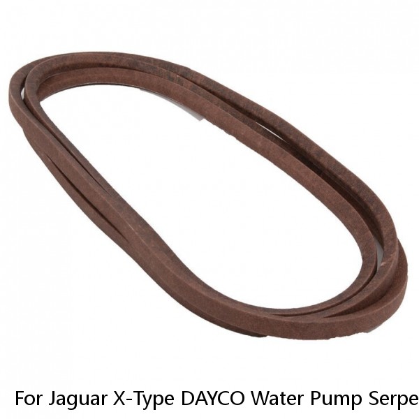 For Jaguar X-Type DAYCO Water Pump Serpentine Belt 2.5L 3.0L V6 2002-2008 1w #1 small image