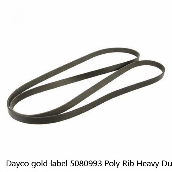 Dayco gold label 5080993 Poly Rib Heavy Duty Belt 8pk2520 ~ FORD F-150 5.4L