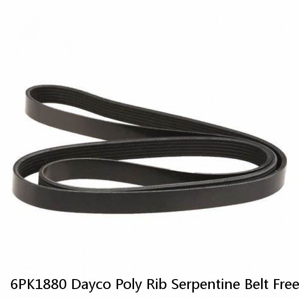 6PK1880 Dayco Poly Rib Serpentine Belt Free Shipping Free Returns 5060740 #1 small image