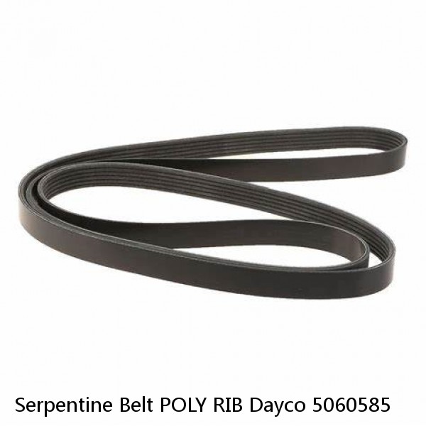 Serpentine Belt POLY RIB Dayco 5060585 #1 small image