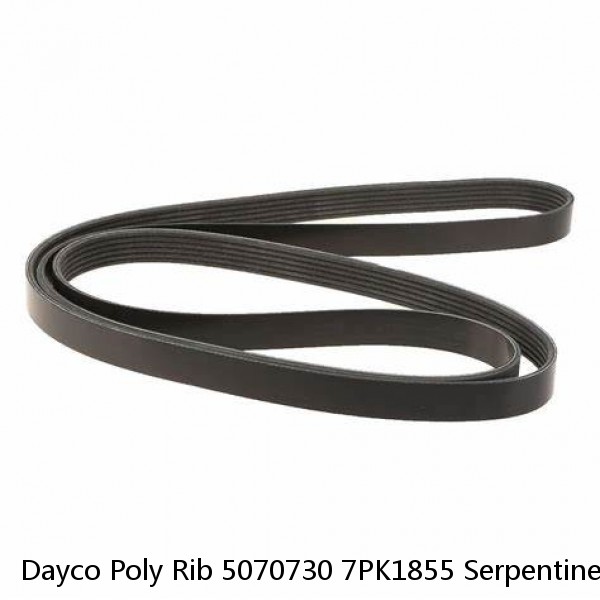 Dayco Poly Rib 5070730 7PK1855 Serpentine Belt #1 small image