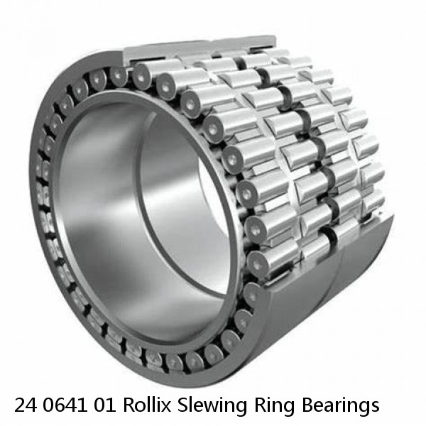 24 0641 01 Rollix Slewing Ring Bearings #1 image