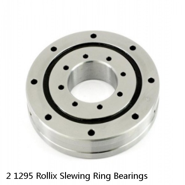 2 1295 Rollix Slewing Ring Bearings #1 image