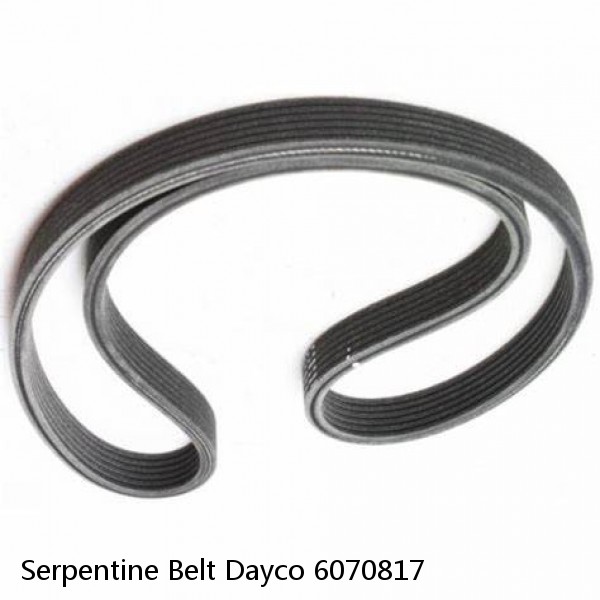 Serpentine Belt Dayco 6070817 #1 image