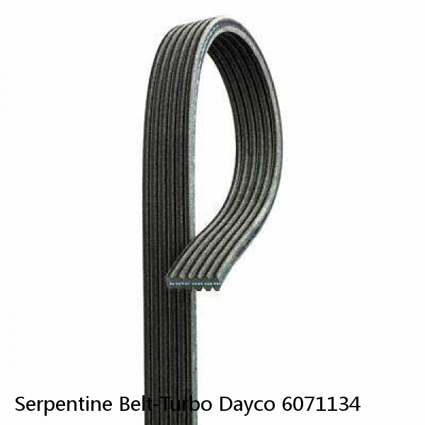 Serpentine Belt-Turbo Dayco 6071134 #1 image