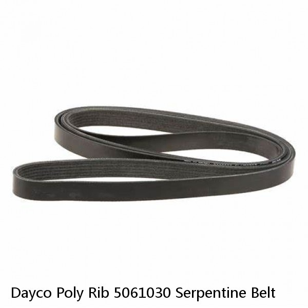 Dayco Poly Rib 5061030 Serpentine Belt #1 image