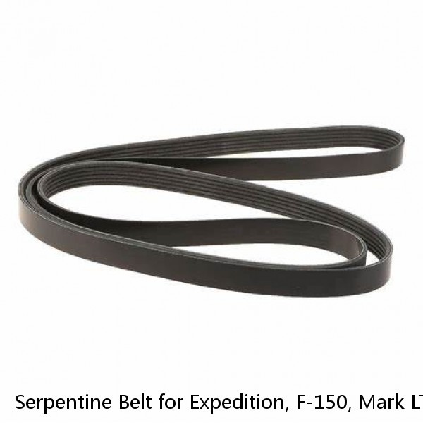 Serpentine Belt for Expedition, F-150, Mark LT, Navigator Dayco Poly rib 5061030 #1 image