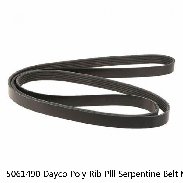 5061490 Dayco Poly Rib Plll Serpentine Belt Made In USA 5061490 Dayco #1 image