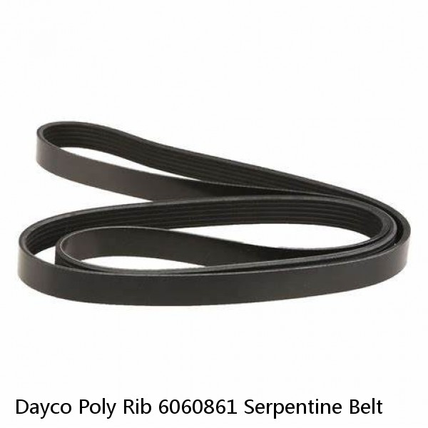 Dayco Poly Rib 6060861 Serpentine Belt #1 image