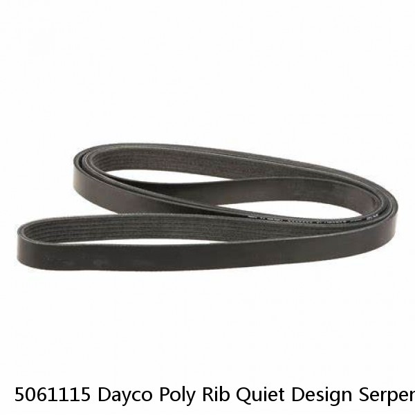 5061115 Dayco Poly Rib Quiet Design Serpentine Belt Made In USA 6PK2830 #1 image