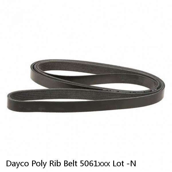 Dayco Poly Rib Belt 5061xxx Lot -N #1 image