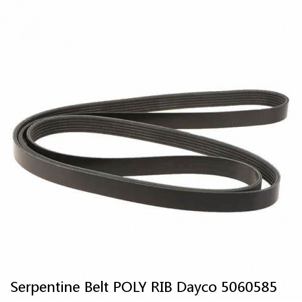 Serpentine Belt POLY RIB Dayco 5060585 #1 image