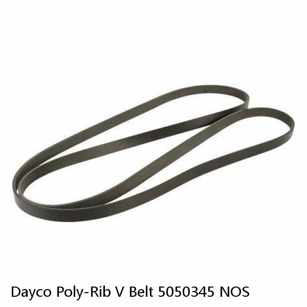 Dayco Poly-Rib V Belt 5050345 NOS #1 image